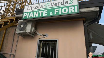 L'isola Verde 2, Fiorista a Tito