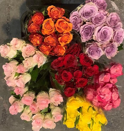 New Flowers Srl, Fiorista a Ancona