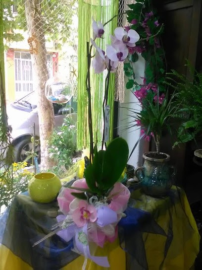 Fiori E Piante Di Saura Cau, Fiorista a Nuoro