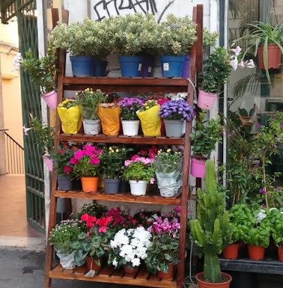 Fiori Di San Giorgio, Fiorista a Roma
