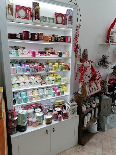 Una Magnolia In Città, Fiorista a Riano