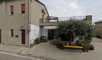 PUNTO VERDE Di Culatti Giacomo, Fiorista a Fiesso Umbertiano