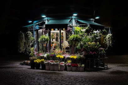 Chiosco Cairoli Di Alice Marani - Vendita Di Fiori E Piante, Fiorista a Roma
