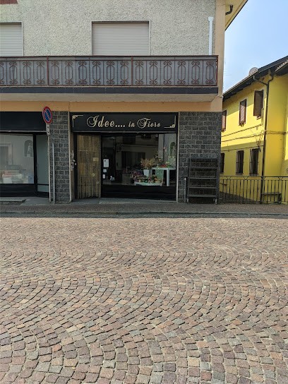 Linea Natura Sas Di Frua Graziano & C., Fiorista a Moretta