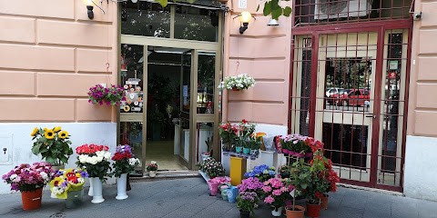 Fiori E Piante, Fiorista a Roma
