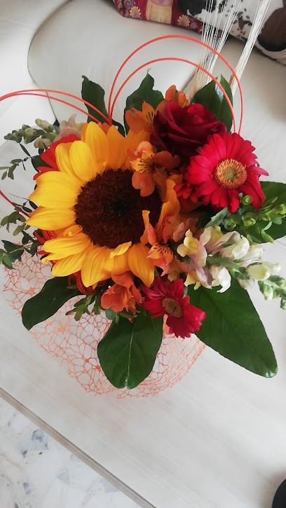 ANTICA FIORERIA VINO, Fiorista a Barletta