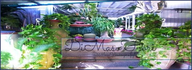 DiMasoFiori di Di Maso Vincenzo, Fiorista a Afragola