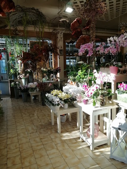 I Fiori Di Mario Snc Di C.R. & C., Fiorista a Carate Brianza