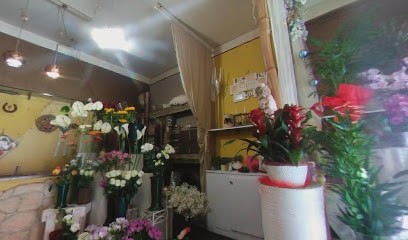 I fiori della bottega, Fiorista a Urbino