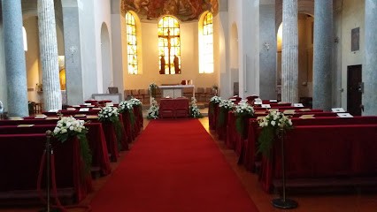 Fiorilandia Di Massimo Capellupo, Fiorista a Roma