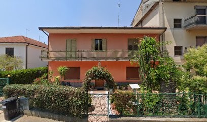 Plants and flowers, Fiorista a San Giorgio Morgeto