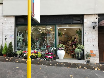 Flowers And Plants, Fiorista a Roma