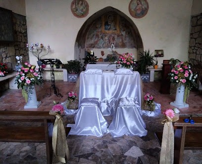 Il Tulipano Di Pigliapoco Enrica, Fiorista a Ischia di Castro