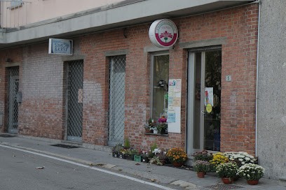 L'Angolo Fiorito Di Vigano' Ferdinando, Fiorista a Giussano