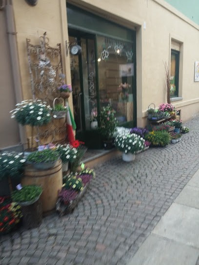 Miosotis Di Riboli Stefania, Fiorista a Dronero