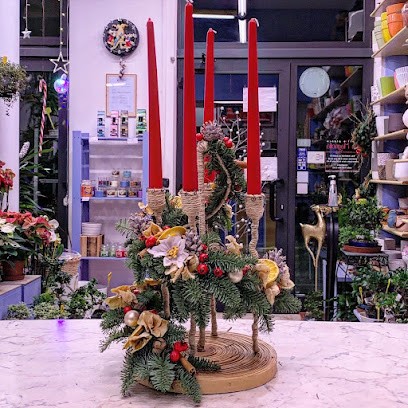 Fiori E Piante Magnolia Di Rotili Massimiliano, Fiorista a Fabriano