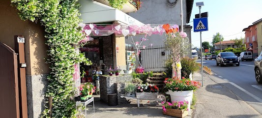 Il Giardino Di Fabia, Fiorista a Samarate