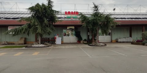 Floricoltura Bosco Di Bosco Amedeo, Fiorista a Isola della Scala