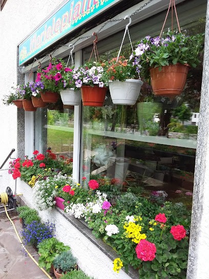 Ifiorielepiante, Fiorista a Ponte di Legno