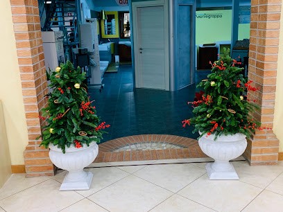 Giuliano Carrozza Fiorista, Fiorista a Siderno