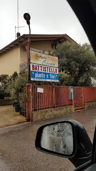 Fioreria Elena, Battistello Piante E Fiori, Fiorista a Zugliano