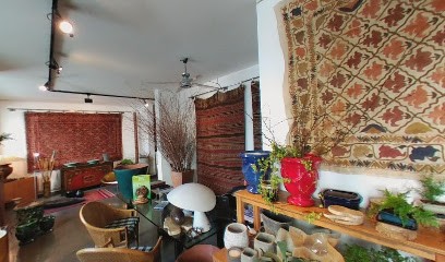 Jacaranda, Fiorista a Udine