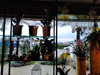 Il Chiosco Fiorito, Fiorista a Capriolo