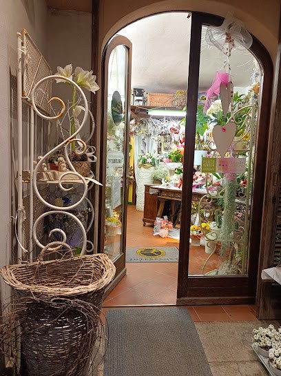 Fiore in Più, Fiorista a Cazzago Brabbia