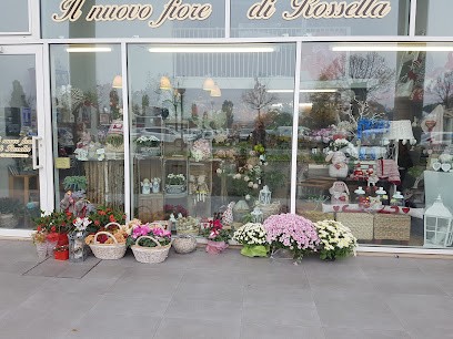 Il Nuovo Fiore Di Rossella, Fiorista a Ravenna