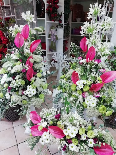 Martino Domenico, Fiorista a Racale