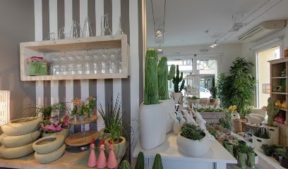 Fioreria Ninfea, Fiorista a Montebelluna