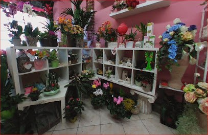 Francy Fiori, Fiorista a Torino