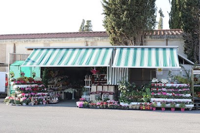 L'Accademia Dei Fiori, Fiorista a Latina