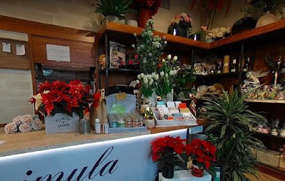 La Primula Arte e Design, Fiorista a Fonte Nuova