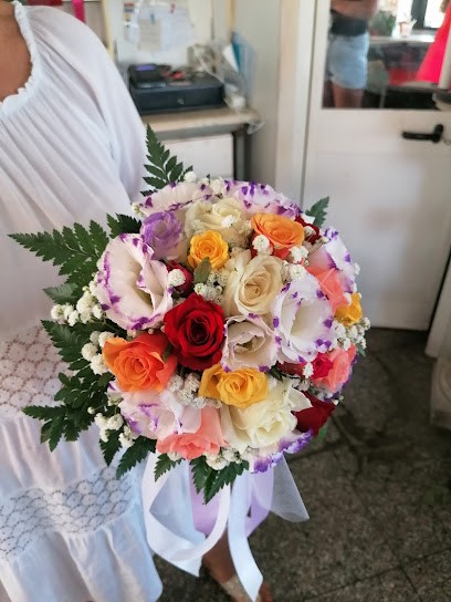 Franca Fiori Fiumicino, Fiorista a Roma