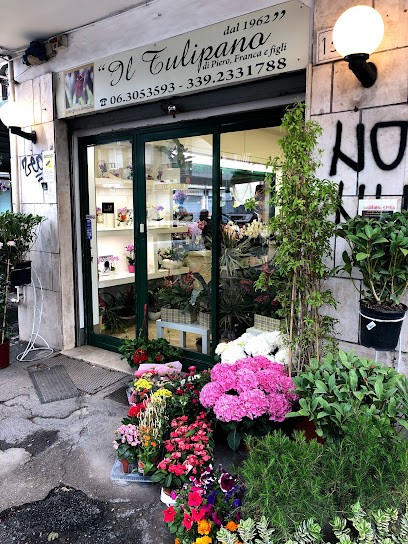 I Figli Del Tulipano, Fiorista a Roma