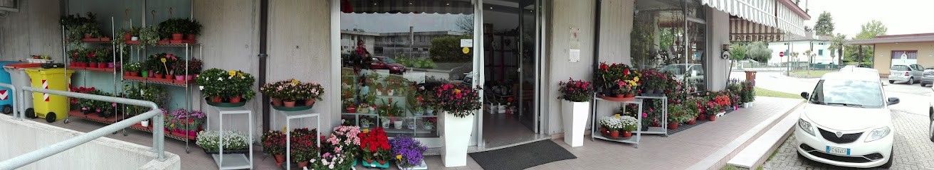 Fioreria Due A, Fiorista a Fontanafredda