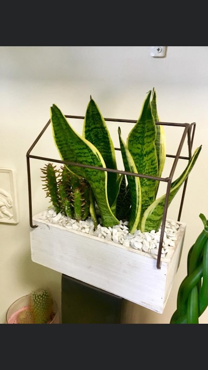 Florambiente Di Fuggiano Margherita, Fiorista a Massafra