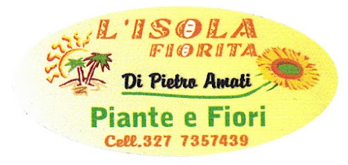 L'Isola fiorita di Pietro Amati, Fiorista a Ozieri