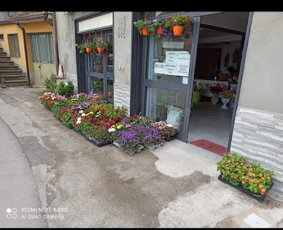 IL DESIGNER FIORI E CASA, Fiorista a Nicosia