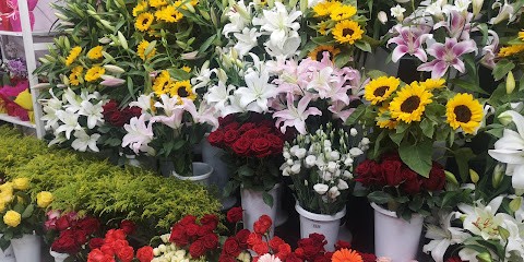 Pensieri in Fiori 3, Fiorista a Roma