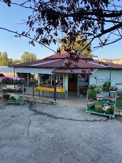 Il Chiosco Di M. Cauda & C. Audisio (S.N.C.), Fiorista a Nichelino