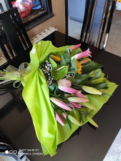 Ocello Fiori Di Oliverio Grazia, Fiorista a San Giovanni in Fiore