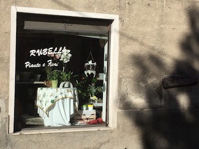 Rubella Di Zappa Andrea, Fiorista a Valbrona