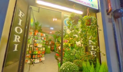 La Rosa Nera, Fiorista a Firenze