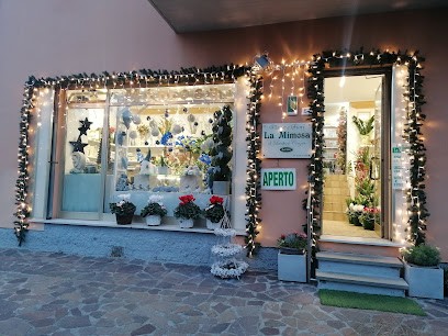 Fiorista La Mimosa, Fiorista a Ravenna