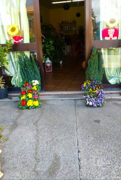 Fiori Piante Onoranze Funebri L'Orchidea Di Angelo Tripicchio, Fiorista a San Marco Argentano