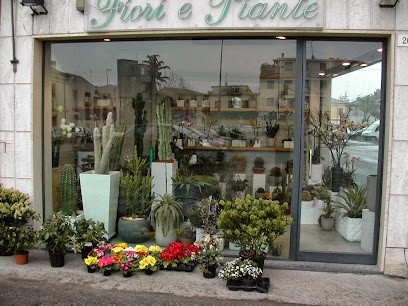 Fiori Di Berardi Piergiovanni, Fiorista a Savignano sul Rubicone