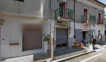 Piante E Fiori Di Sisinni Carmela, Fiorista a Nicotera