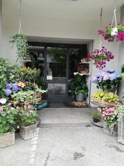 I Fiori, Fiorista a Zanè